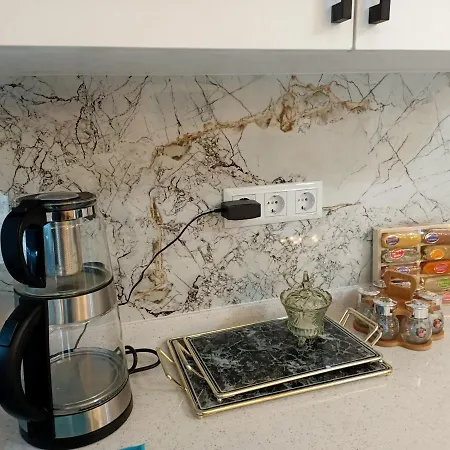Apartament Flat For Rent At The City Center Of *